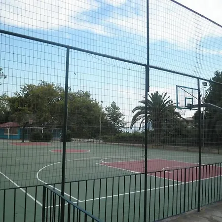 Dima PalaiónTsiflíkion