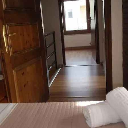 Dima PalaiónTsiflíkion