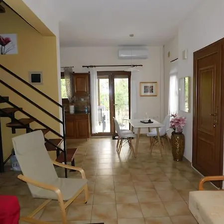 Dima PalaiónTsiflíkion