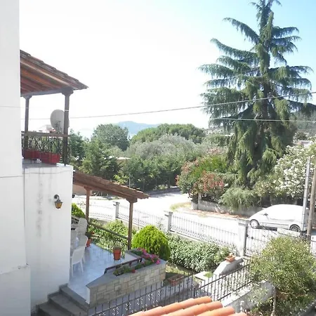 Dima PalaiónTsiflíkion