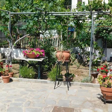 Villa Dima PalaiónTsiflíkion