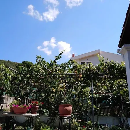 Dima Villa PalaiónTsiflíkion
