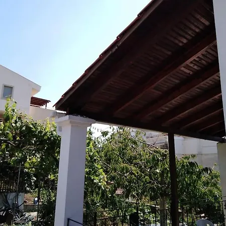 فيلة Dima PalaiónTsiflíkion