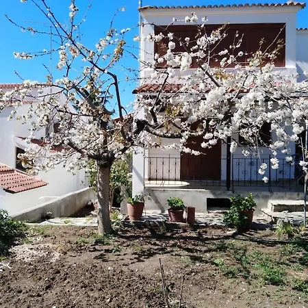 Dima * PalaiónTsiflíkion