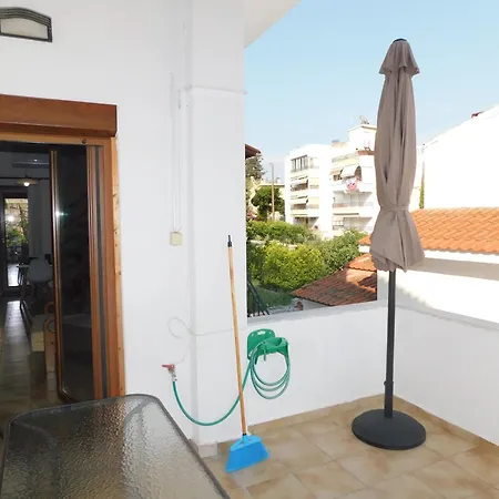 فيلة Dima PalaiónTsiflíkion