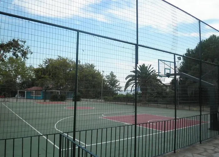 Dima PalaiónTsiflíkion