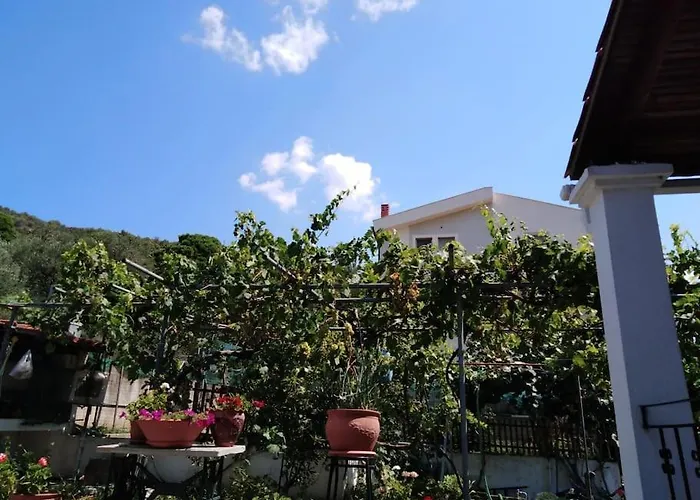 Dima Vila PalaiónTsiflíkion