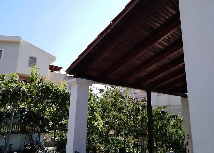 Vila Dima PalaiónTsiflíkion