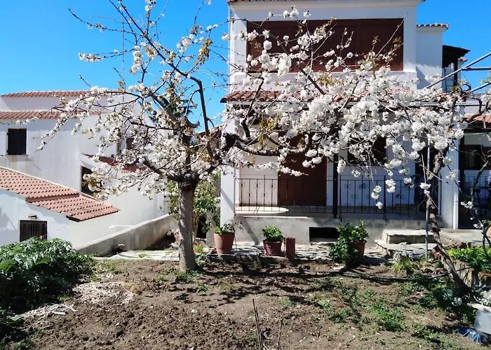 Dima * PalaiónTsiflíkion