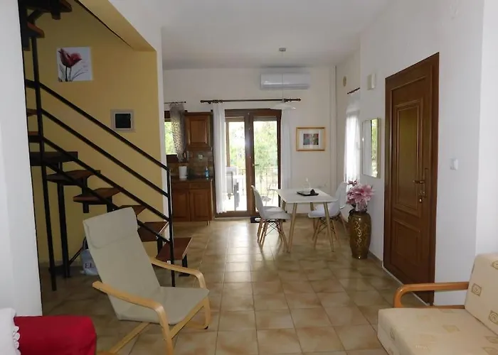 Dima PalaiónTsiflíkion