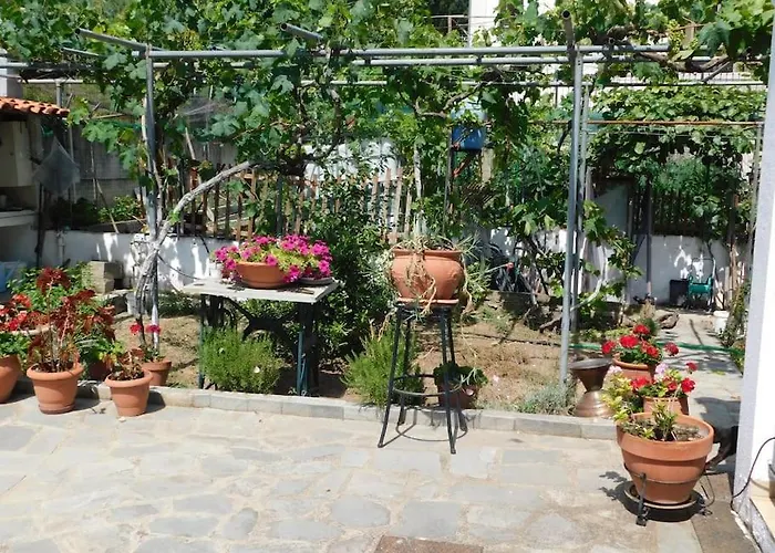 Vila Dima PalaiónTsiflíkion