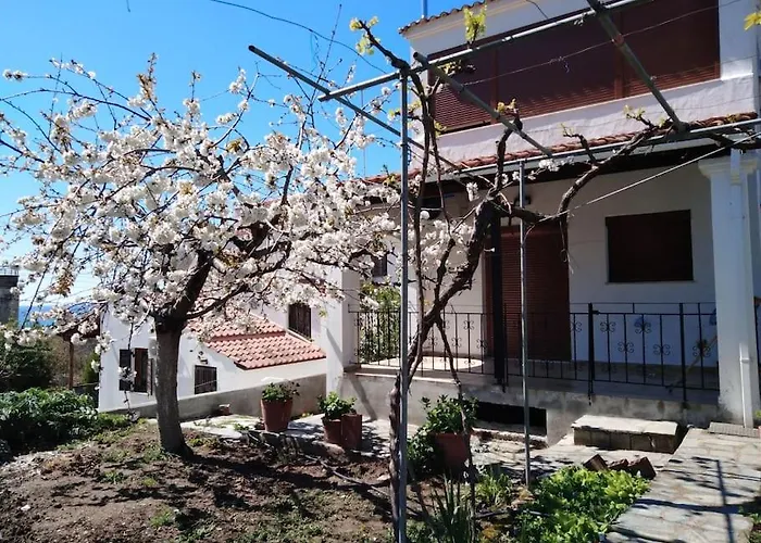 Dima PalaiónTsiflíkion